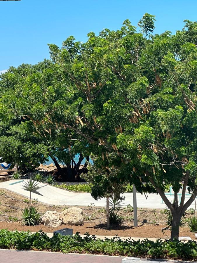 Whitehouse Boulevard, Close To Mambo Beach And City Centre Apartamento Willemstad Exterior foto