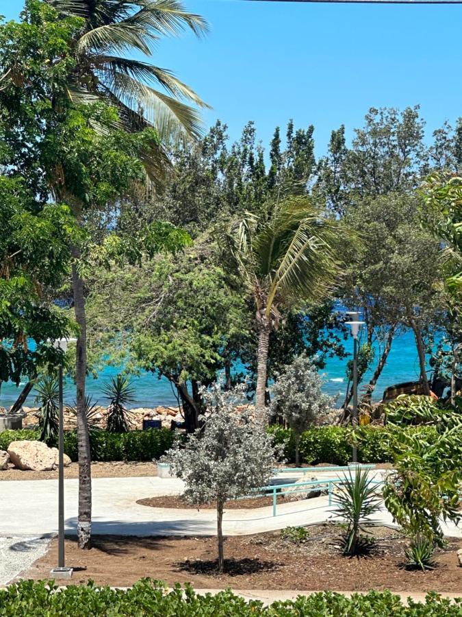 Whitehouse Boulevard, Close To Mambo Beach And City Centre Apartamento Willemstad Exterior foto